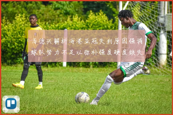 马德兴解析海港亚冠失利原因强调球队努力不足以弥补强度硬度缺失